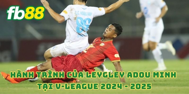 Hành trình của Leygley Adou Minh tại V-League 2024 - 2025