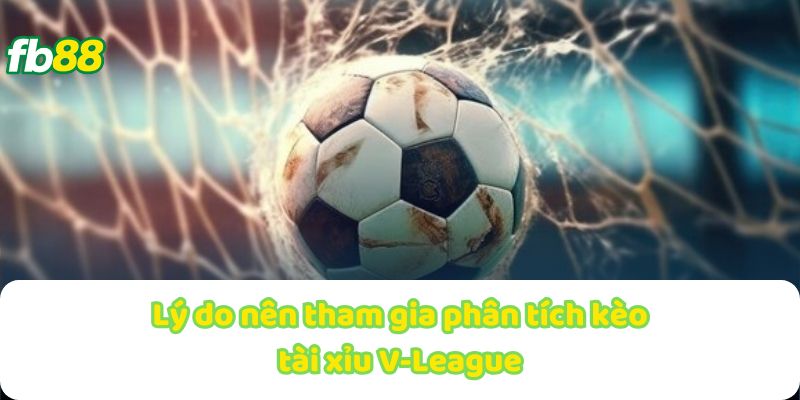 Lý do nên tham gia phân tích kèo tài xỉu V-League