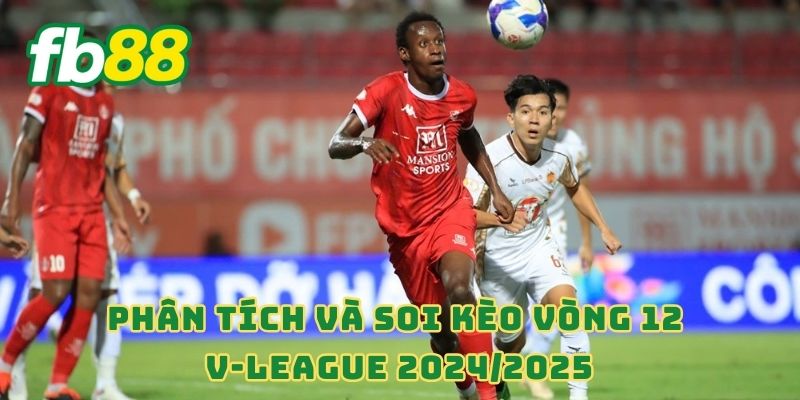 Phân tích và soi kèo vòng 12 V-League 2024/2025