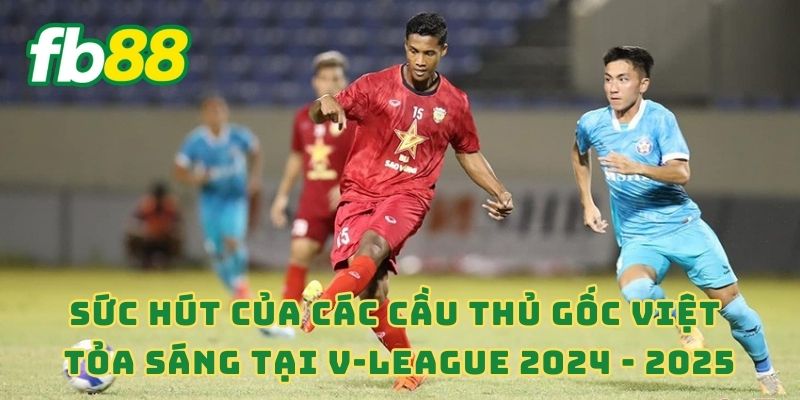 Sức hút của các cầu thủ gốc Việt tỏa sáng tại V-League 2024 - 2025