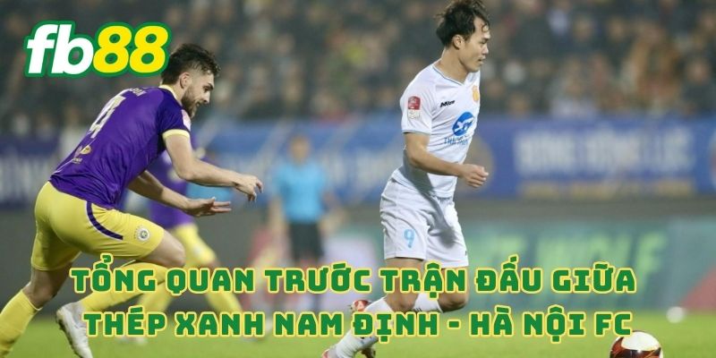 Tổng quan trước trận đấu giữa Thép Xanh Nam Định - Hà Nội FC