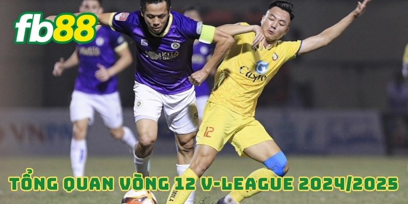 Tổng quan vòng 12 V-League 2024/2025